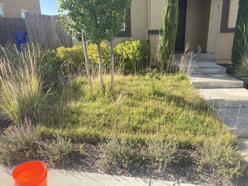Yard 1 before maintenance