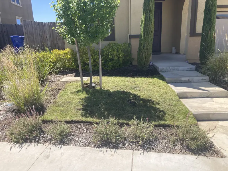 lawn mowing & edging