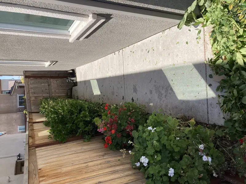 beds, weeds & trimming